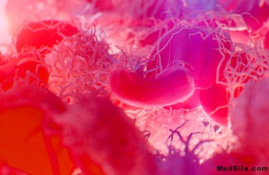 капиллярная кровь